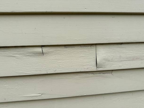 Best Aluminum Siding Installation  in Ripley, WV